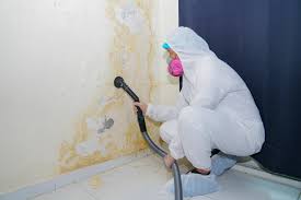 Best Basement Mold Removal  in Old Stine, CA